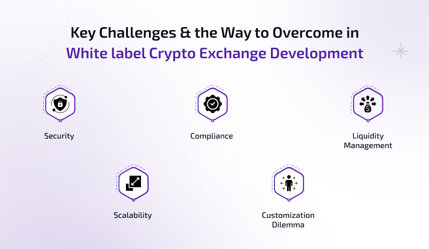 key challenges and the way to overcome in white label crypto exchange development