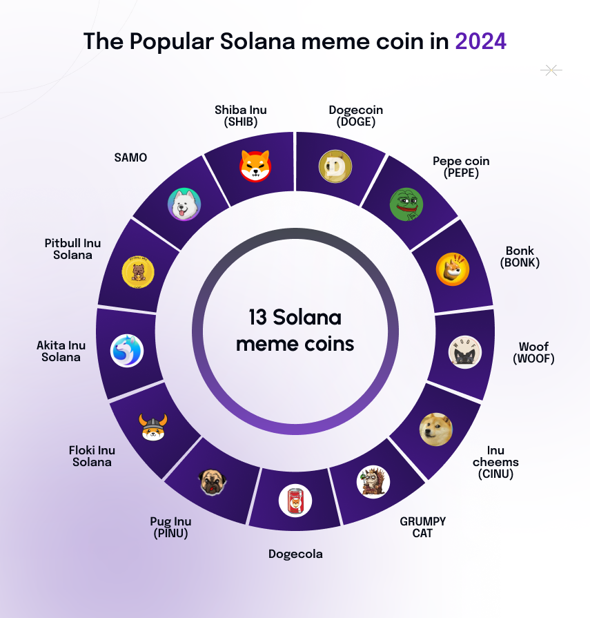 The Popular Solana meme coin in 2024