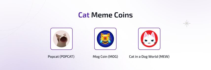 Cat Meme Coins