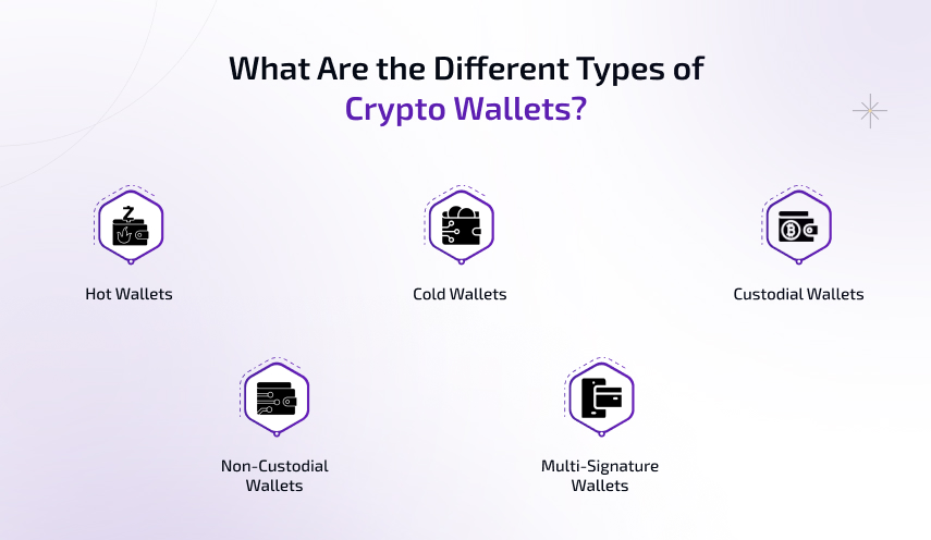 types of crypto wallets