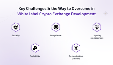 key challenges and the way to overcome in white label crypto exchange development